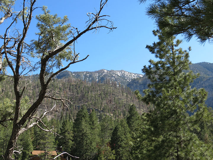 MOUNT CHARLESTON